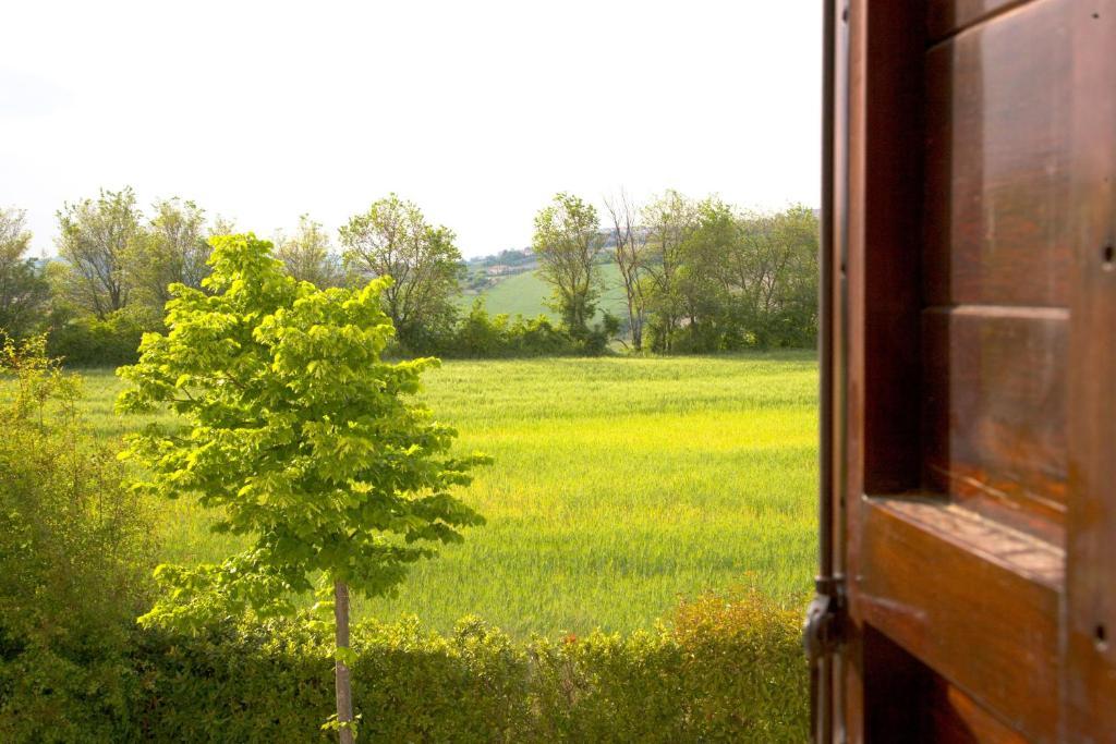Locanda Il Girasole Ancona Bilik gambar